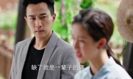 一起吃瓜吧电影免费观看,一起吃瓜吧！揭秘电影免费观看背后的秘密